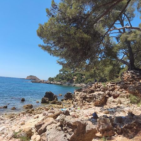 Charmant Studio 2A4 Pers Avec Jardin Et Place De Parking Situe A 5 Min A Pied De La Mer Bandol Exterior photo