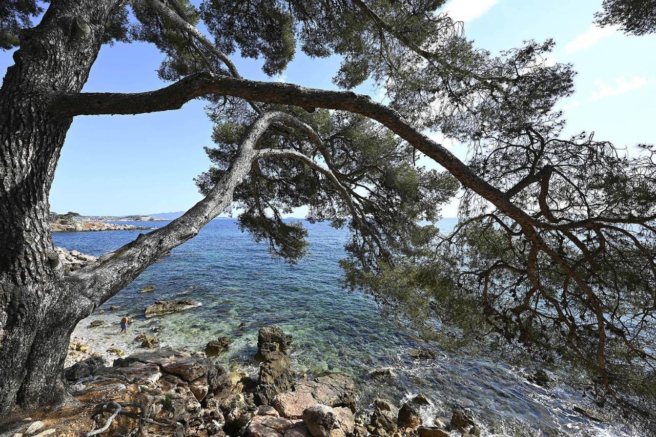 Charmant Studio 2A4 Pers Avec Jardin Et Place De Parking Situe A 5 Min A Pied De La Mer Bandol Exterior photo