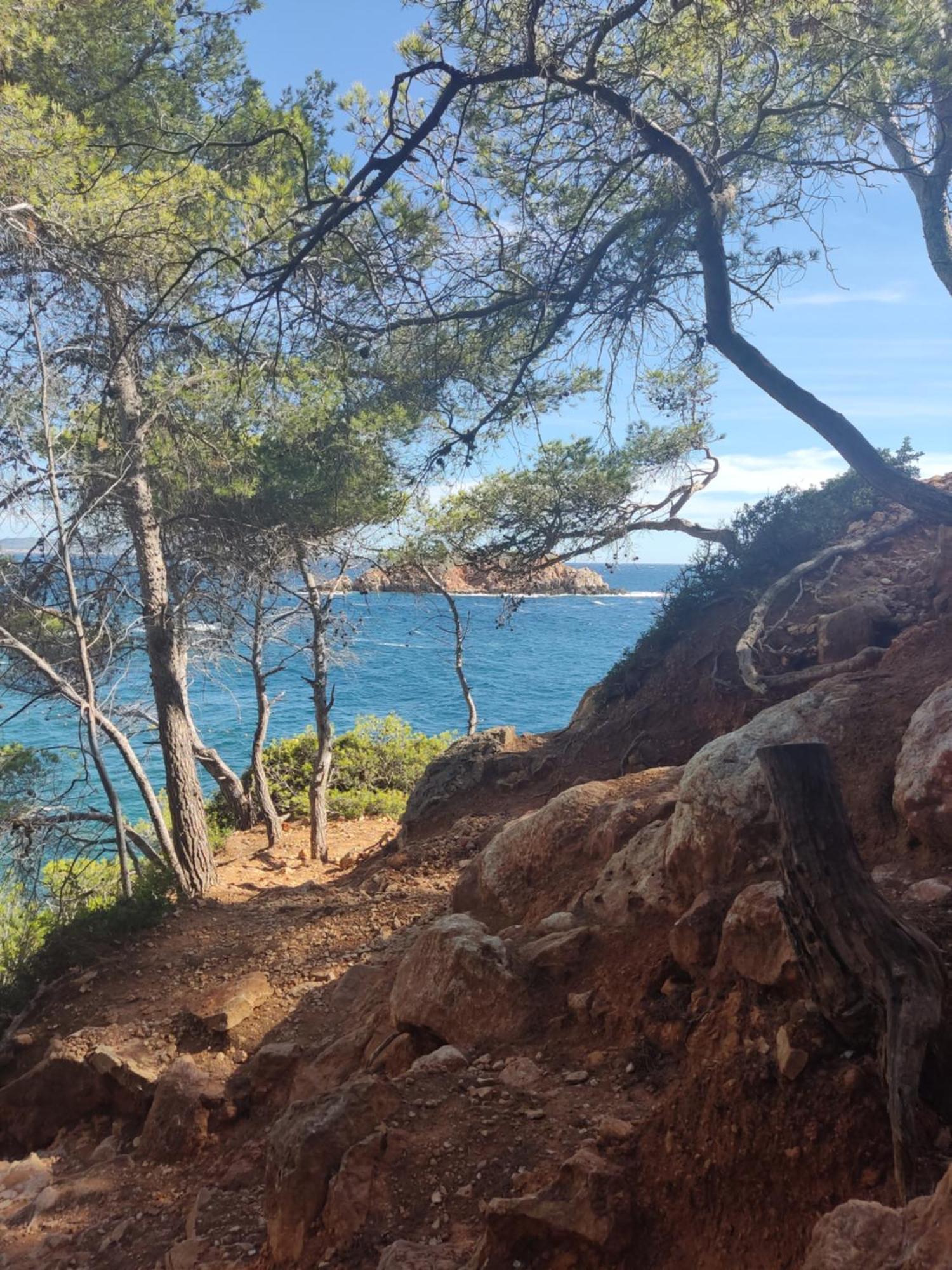 Charmant Studio 2A4 Pers Avec Jardin Et Place De Parking Situe A 5 Min A Pied De La Mer Bandol Exterior photo